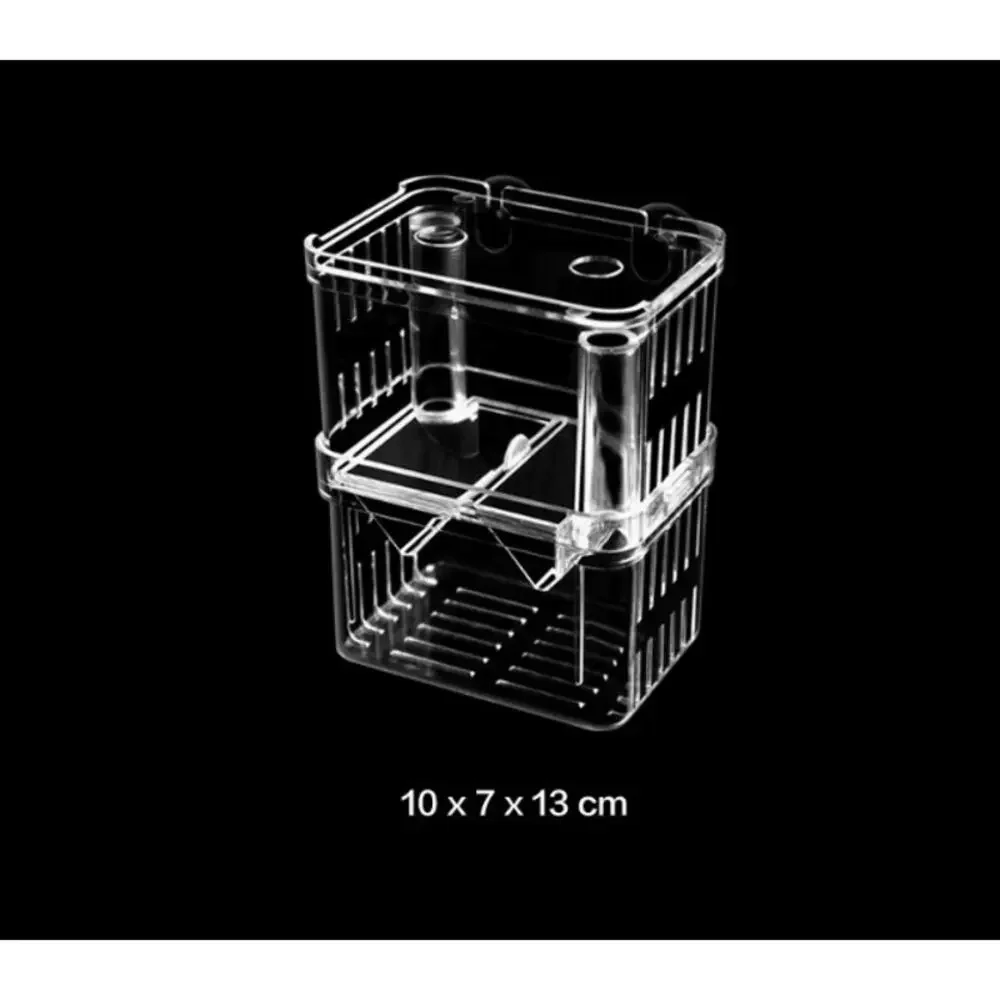Double‑Layer Floating Aquarium Fish Breeding Isolation Box
